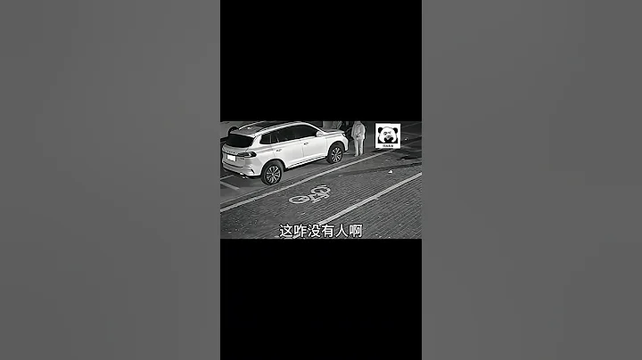 她宁可相信无人驾驶，也不相信是自己的责任… - 天天要闻