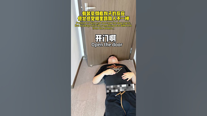 【旺仔很忙🐶Wangzai is busy】假装晕倒看狗子的反应Pretend to faint and see how the dog reacts