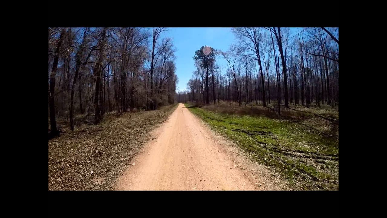 FOR SALE PORTLAND LANDING DALLAS COUNTY, AL +/449 ACRES YouTube