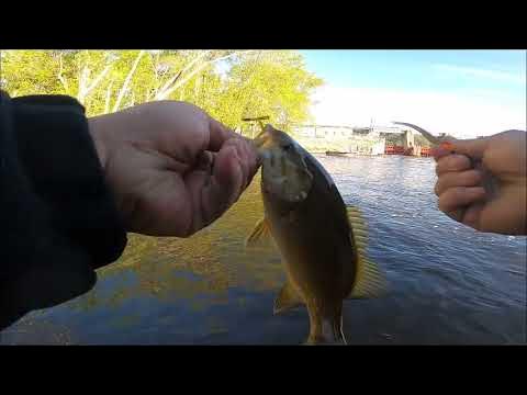 Trempealeau Fishing Float 2022 