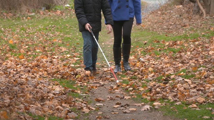 What is a white cane? Council of the Blind asking community to help make  Wyoming streets safer - Casper, WY Oil City News