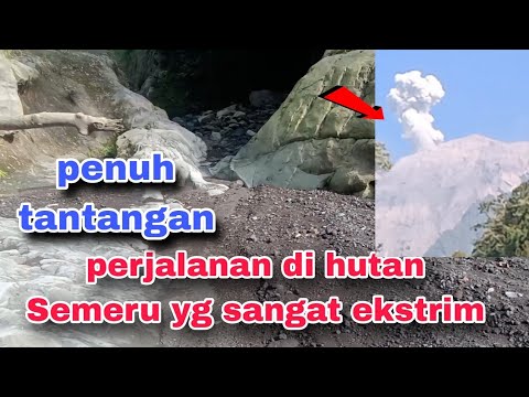 Perjalanan di hutan Semeru yg sangat Ekstrim sekali