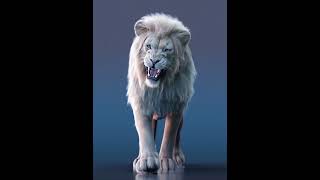 White Lion walk cycle