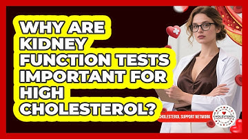 Why Are Kidney Function Tests Important For High Cholesterol? - Cholesterol Support Network