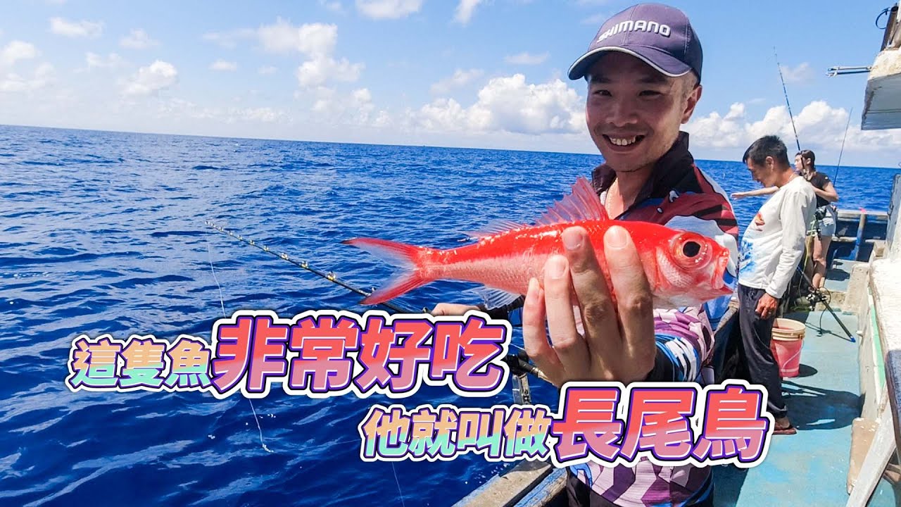 【台客去船釣】在大大的海裡挖呀挖！挖到了幾隻小小長尾鳥？feat.錦豐順娛樂海釣船