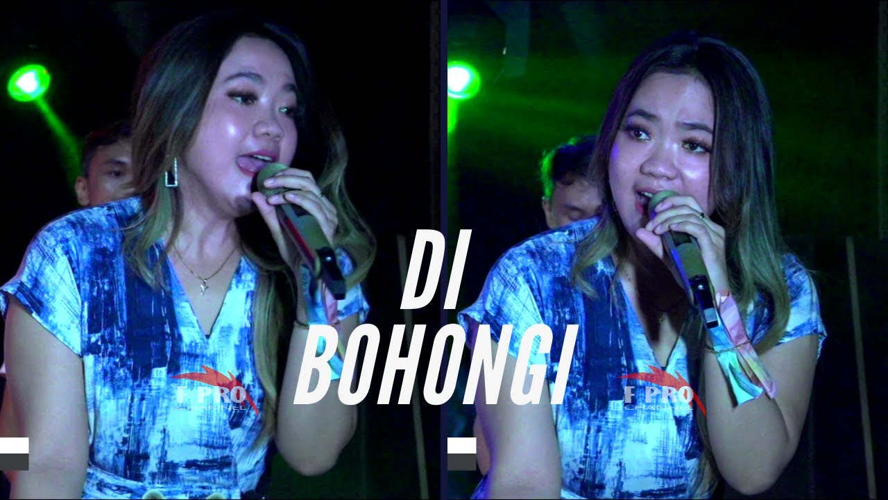 ERIKA SYAULINA - DI BOHONGI | D'BeSt Group \ F PRO MUSIK