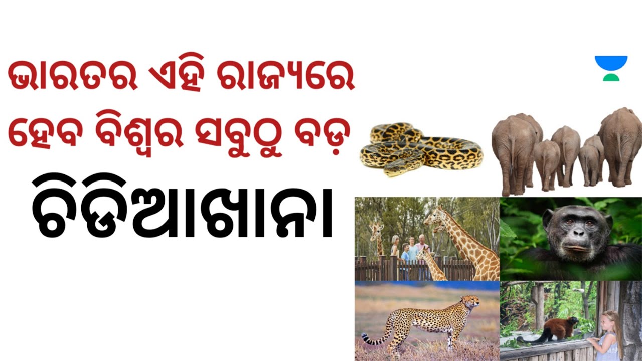 World's Largest Zoo to be built in Jamnagar by Reliance Industries