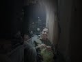 ياهايمه لا غيبش عليا