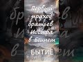 Первый приход братьев Иосифа в Египет | Уроки ЧистоПисания