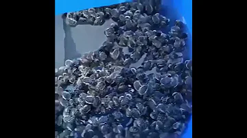 Способ борьбы с Аленкой Мохнатой Оленкой