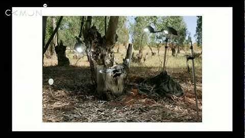 Curso Un año de fotografía. Sesión 27: La fotografía de reproducción y científica