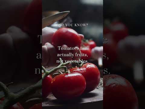 Video: Tomato - buah beri atau sayur?