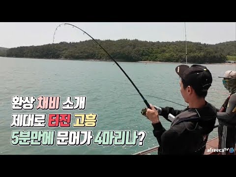제대로 터졌다, 올해 <strong>풍년을</strong> 알리는 문어 에깅루어낚시 고흥편
