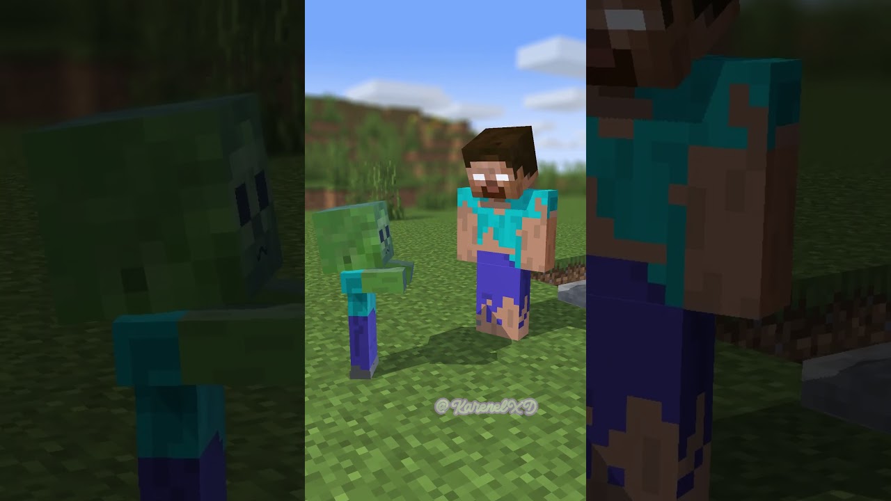 HELP Baby Zombie Choose Herobrine or a Diamond? 