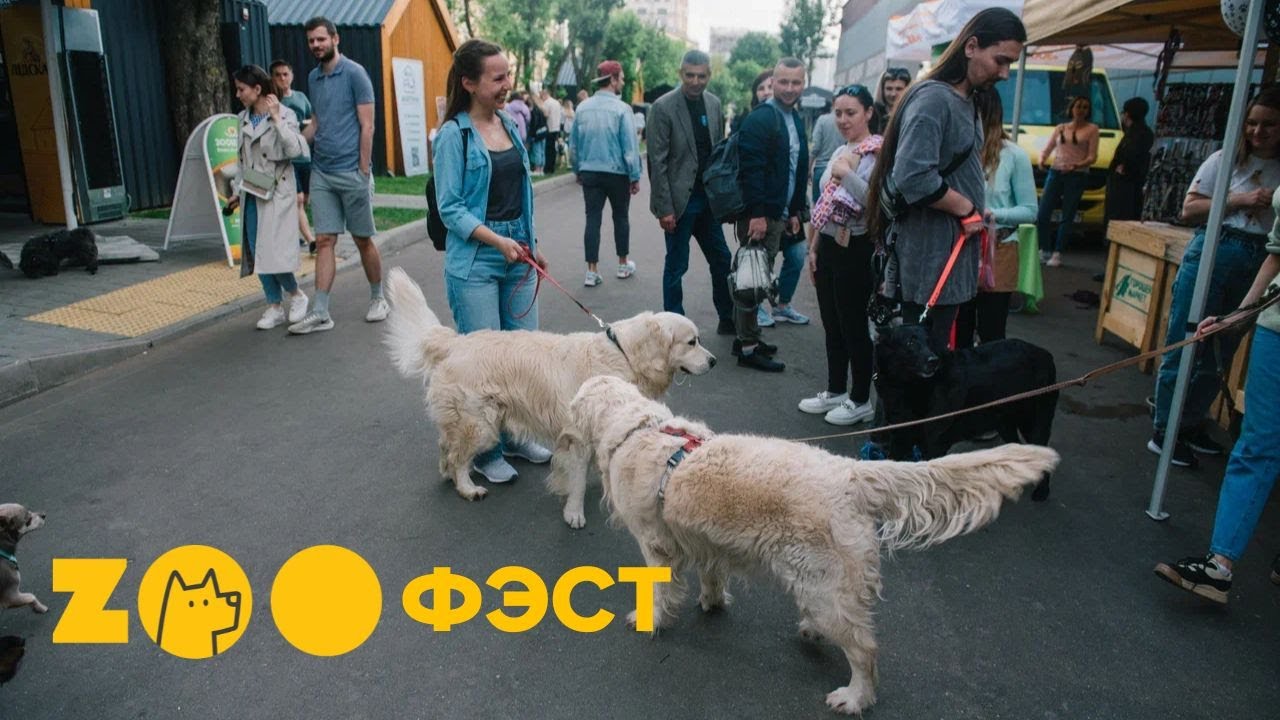 Ворвались в лето на ЕЗОО ФЭСТЕ!