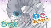 ねこ始めました Youtube