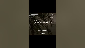 الله ولى الذين ءامنوا((القارئ ايمن السامرائي))