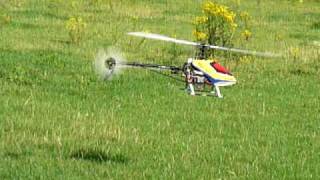 Trex 500 First hover