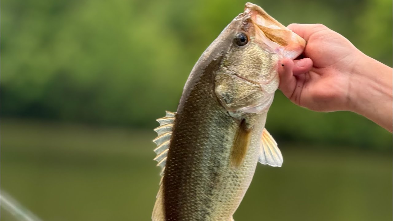 First video bass fishing