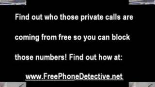 Free Reverse Phone Detective!