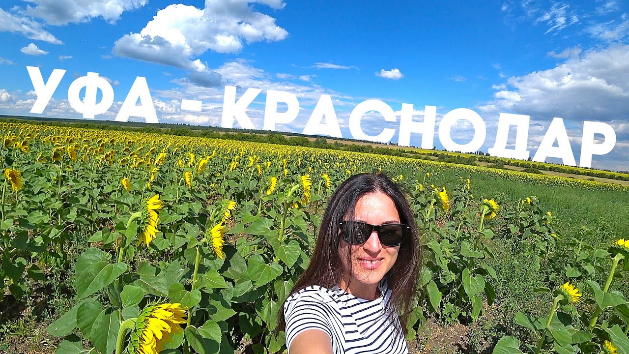 Уфа краснодар на машине