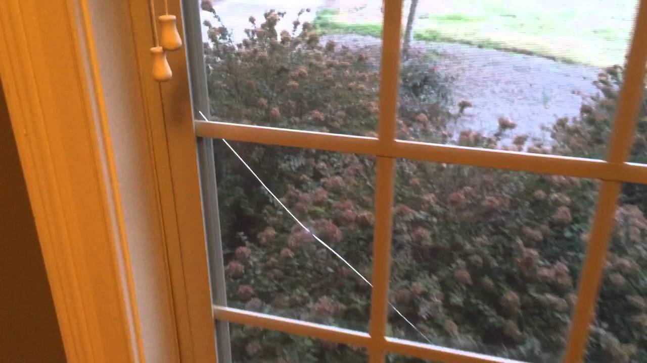 104 Cambridge Woods Dr_McDonough_1/8/16