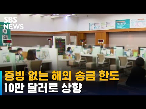   증빙 없는 해외 송금 한도 5만 달러 10만 달러 상향 SBS