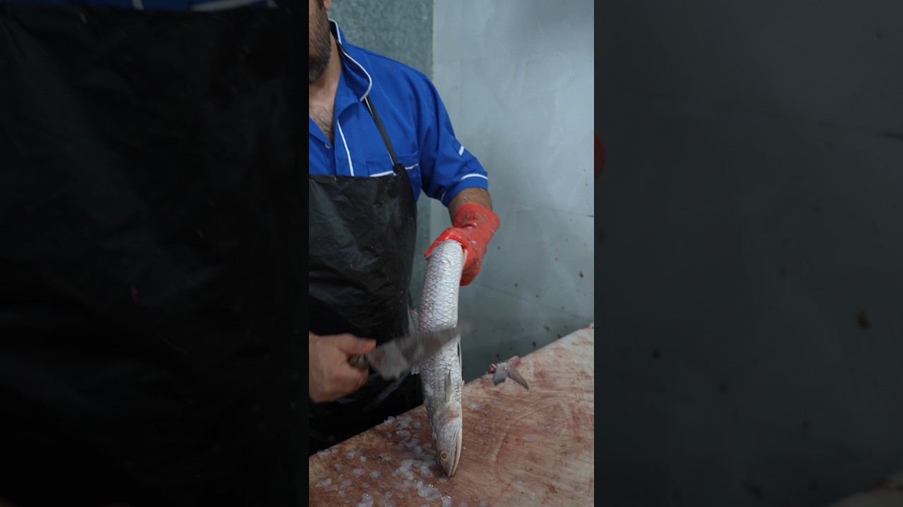 Master Fisherman Cuts Lizardfish in Seconds – Shocking Skills