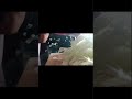 Cabbage Cutting ASMR 🥬 Kitchen Sounds