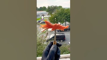 Carrot 🥕 shrimp carving #carving #carrott #carvingart