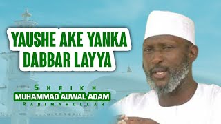 YAUSHE AKE YANKA DABBAR LAYYA SHEIKH MUHAMMAD AUWAL ADAM ALBANY ZARIA RAHIMAHULLA