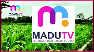 MENGENAL MADU TV ➖ MEDIA LOKAL BERTARAF NASIONAL (MADUTV NETWORK JAWA TIMUR)