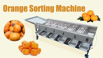 Citrus orange size grading sorting machine