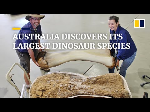 澳洲挖到新物種「南方泰坦巨龍」地球最大恐龍之一