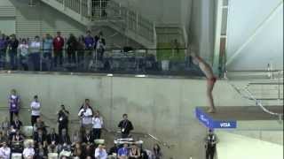 2012 World Cup - Men's 10M Final
