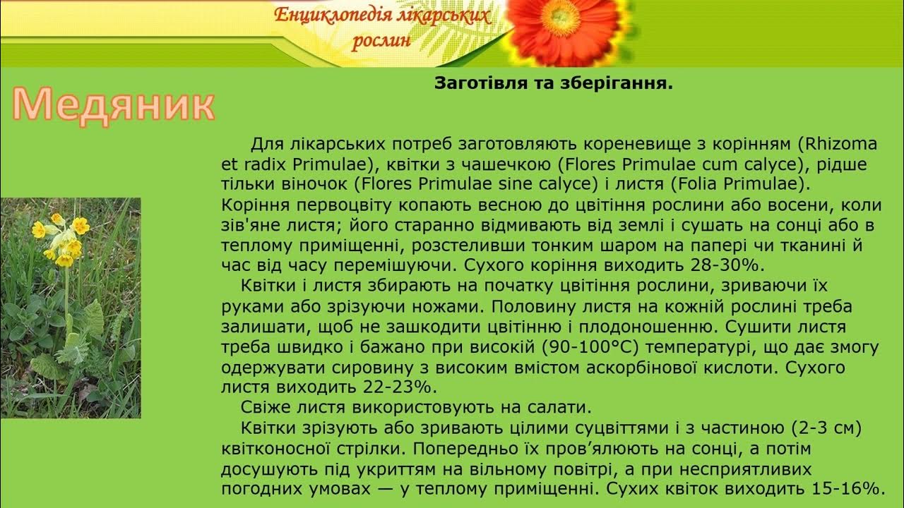 Медяник - YouTube