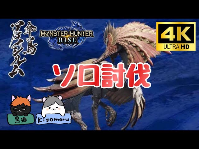 【4Kゲーム実況】モンスターハンターライズ／MONSTER HUNTER RISE ※アケノシルム（集会所）ソロ討伐