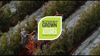 Boosting Agricultural Excellence: The Stemilt & EFI Partnership