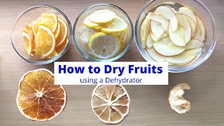 How to Dry Fruits in Dehydrator | Dehydrating Apples, Lemons and Oranges | Food Dehydrator |