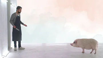 Kdo je odborník na vegetariánskou stravu?