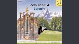 Die spielende Muse: No. 8 in A Minor, Aria tertii toni