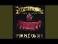 Miniature de la vidéo de la chanson Purple Onion