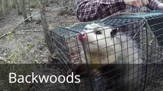 Full Backwoods Addiction Video Update