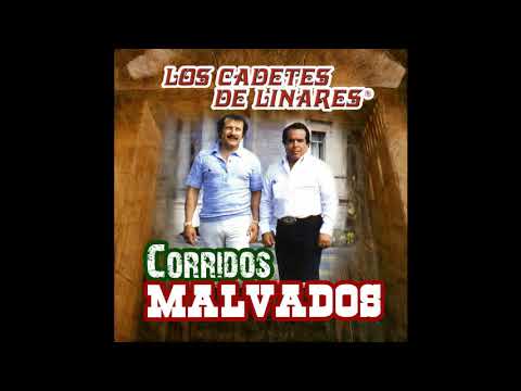 El Retorno de Chito Cano - Los Cadetes de Linares
