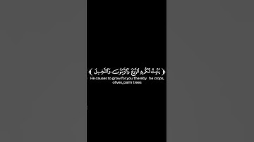 كروما شاشه سوداء قرأن كريم 🥀 تلاوة من سورة النحل 🥀 القارئ عمر عبدالله 🥀
