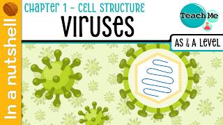 (Chapter 1) - Viruses [In A Nutshell] - Cambridge AS & A Level Biology (9700)
