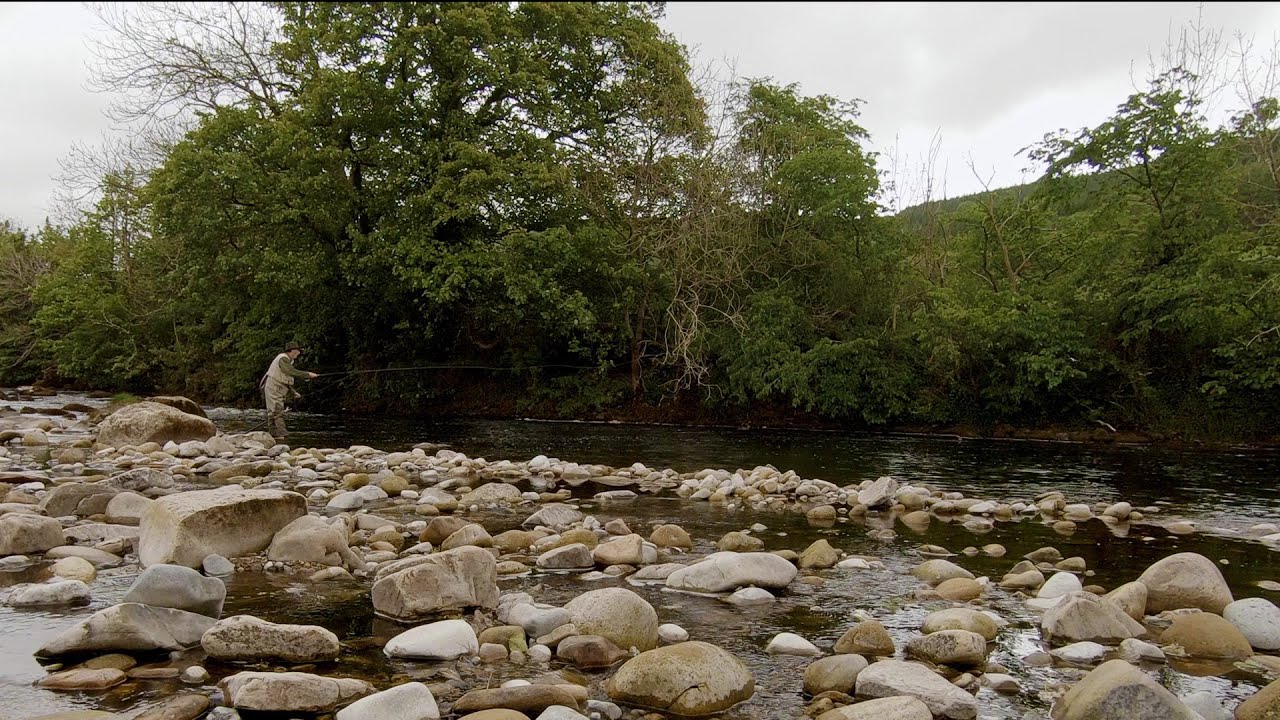 Trout Fishing In The Yorkshire Dales A Missed Opportunity YouTube