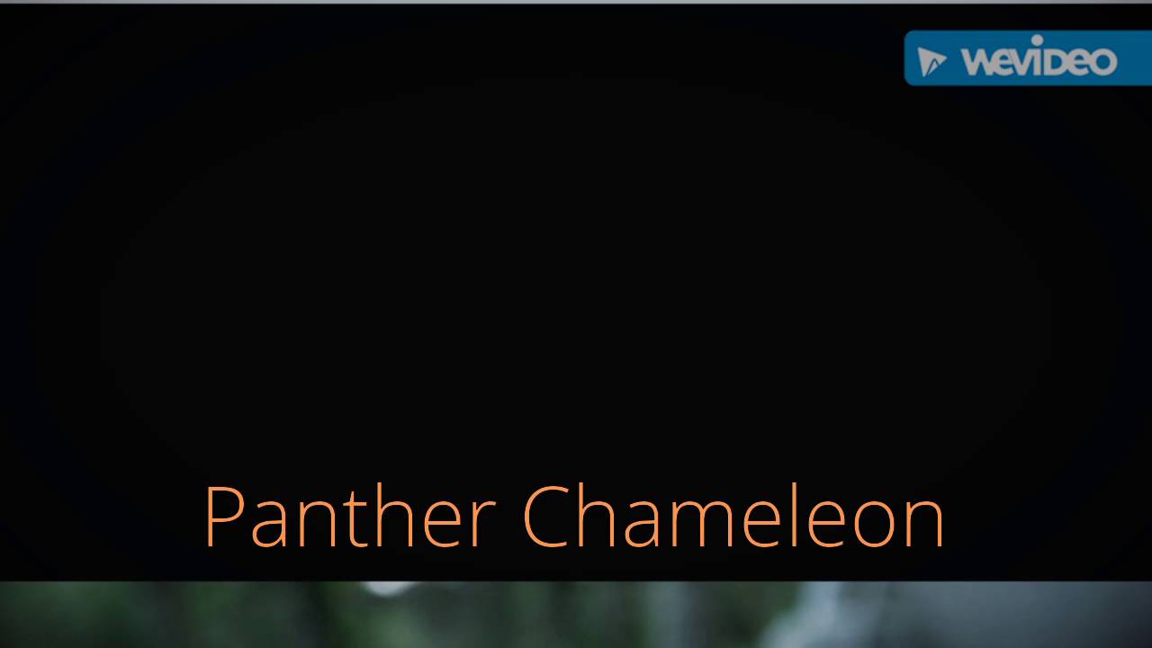 camera iphone 8 plus apk The Panther Chameleon