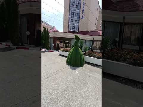 #сочи отель Аквалоо