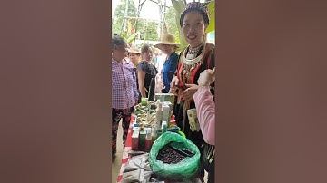 Toàn Cảnh Lễ Hội * Ngày Hội văn hóa dân tộc Dao* tại xã Tân Phượng huyện Lục Yên Tỉnh Yên Bái